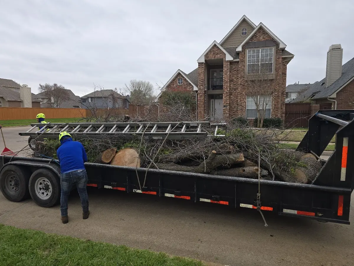 Expert Lot Clearing with proper safety equipment in Archer